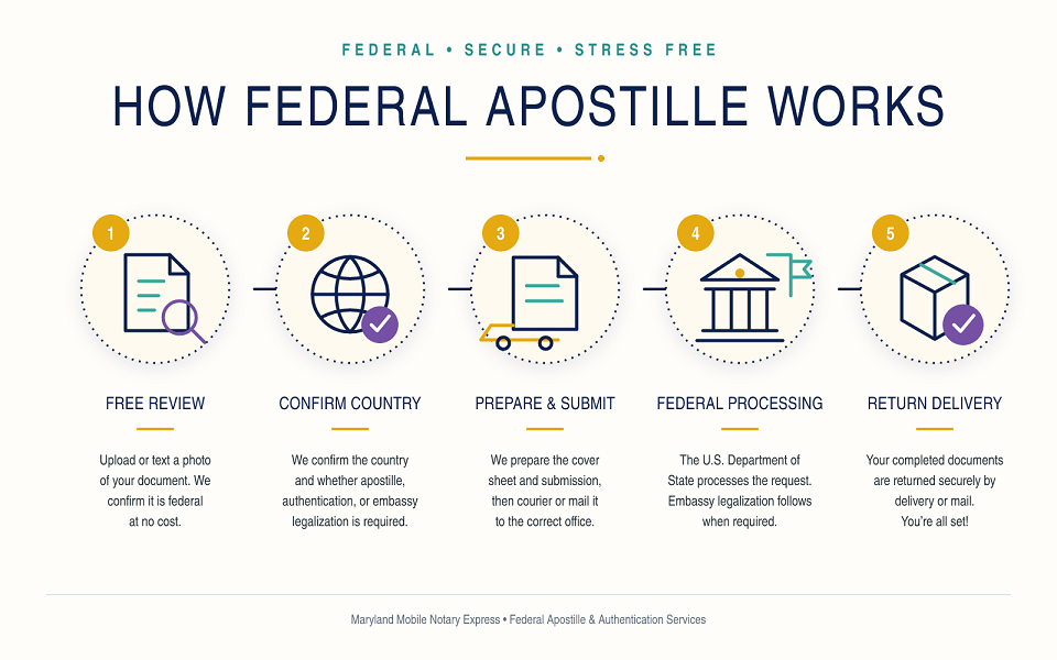 Five-step federal apostille and authentication process: free review, confirm country requirements, prepare and submit, federal processing, and return delivery